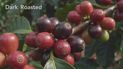 Coffee Beans (500 grams)