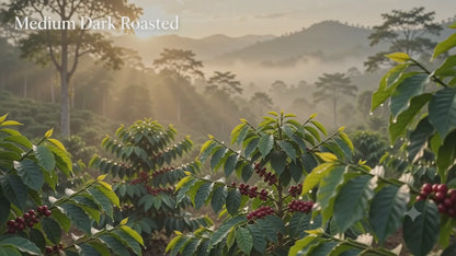 Coffee Beans (500 grams)